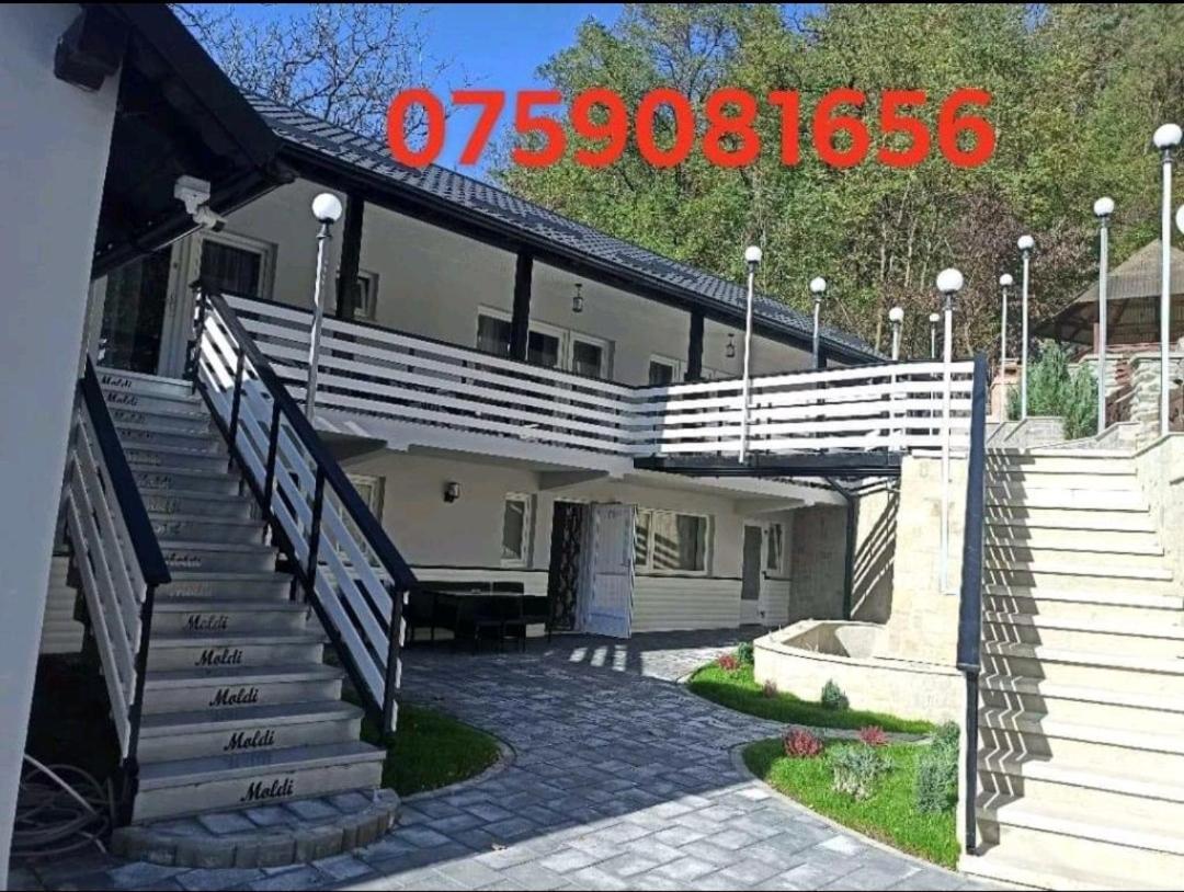Cazare Moldi Btt Câmpulung Moldovenesc Екстериор снимка